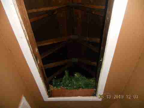 15017 Dolphin (14)_m.jpg